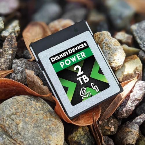 Image of Delkin Devices 2TB CFexpress Type B 4.0 Memory Card for Digital Cameras | Ideal for Express Transfer of Images and Videos for Storage | 2TB Memory Card Storage