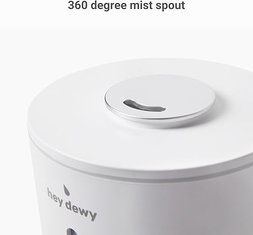 Miniatura 5 de Hey Dewy Humidificador de bienestar para el hogar, oficina, baño, spa o dormitorio, con hidratación de niebla utrasónica fresca (pizarra)