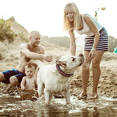 Tuff Pupper Martingale Collar For Dogs Is Perfect For Training | No Pull Dog Collar With Adjustable Gentle Nylon & Steel Chain | Convenient Sizing For All Breeds #TOP4