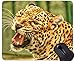 Produktbild Mauspad mit Rastkante, rutschfeste Gummibasis aus Leopard Wild Leopard Mousepad