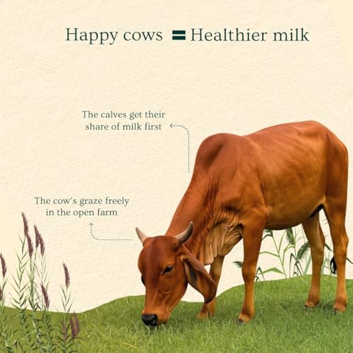 Image of Parasbaagh A2 Cow Ghee 1 Litre (1000 ml), Traditional Bilona Method A2 Cow Ghee, Grassfed, Pure & Healthy Desi Cow Ghee