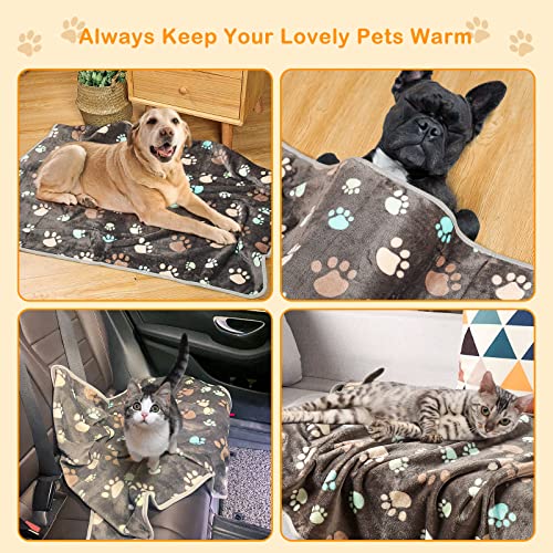 3 Pack Dog Blanket Soft Warm Flannel Cat Blanket, Great Pet Throw For Cats,Puppy,Small Medium Large Dog,23 X 16 Inches #TOP4