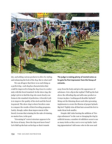 Golden Retriever: An Authoritative Look at the Breed's Past, Present, and Future