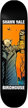 Birdhouse Skateboard Deck Hale Second Life 9.0"" x 32"", Black