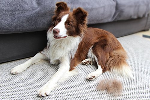 FURminator FURflex, Fellpflegebürste für mittelgroße Hunde, deShedding-Aufsatz zur Entfernung der Unterwolle, Größe M