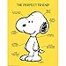 Eureka EU-837039BN 17 x 22 in. 6 Piece Peanuts The Perfect Friend Poster