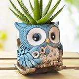 Saysmile Unique Owl Plant Pots Indoor, Cute Small Succulent Pots with Drainage Hole, Rocking Chair Planters for Outdoor Indoor Plants, Resin Flower Pot for String of Pearls, Gift Ideas for Mother