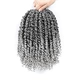 Passion Twist Hair 10 Inch 8 Packs, Pre Twisted Passion Twist Crochet Hair For Black Women, Pre Looped Passion Twist Curly Crochet Hair, Short Crochet Passion Twist Hair (10 Inch (Pack of 8), Gray#)