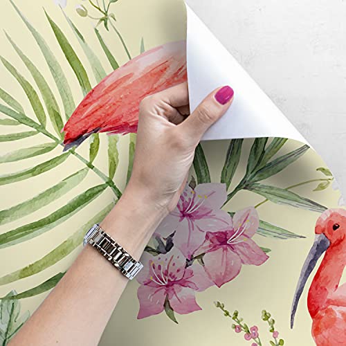 Papiers peints muraux décoration palmier flamant 416x254