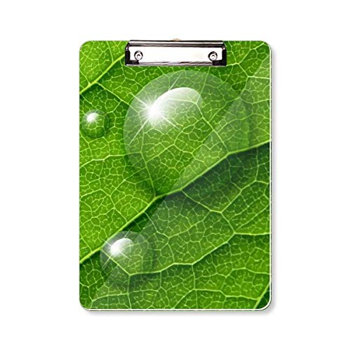 Dossier bloc-notes plante verte A4 idéal pour organiser vos réunions et cours