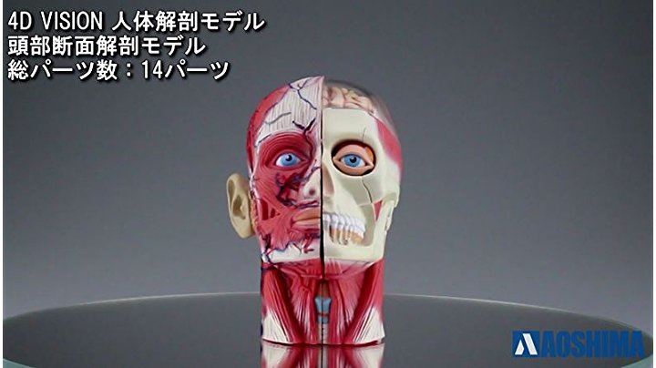 Amazon.co.jp: 青島文化教材社 スカイネット 立体パズル 4D VISION
