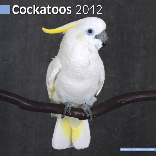 Calandero 2012 - Cockatoos