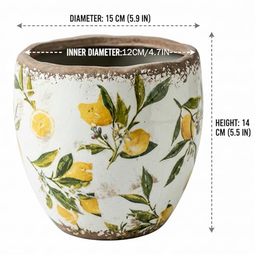 Pot de fleurs en céramique résistant vintage pour intérieur et extérieur