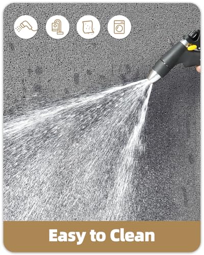 Color G Fussmatte Aussen Innen 43.5 x 75cm, Schmutzfangmatte Außen rutschfest Wetterfest, Fußmatte Sauberlaufmatte Waschbar, Türmatte Outdoor Teppich für Eingang, Hund, Haustür, Garten (Grau)