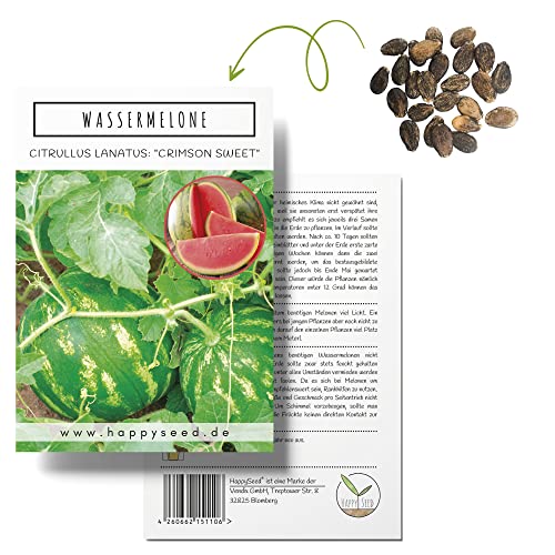 Wassermelone Samen (Citrullus lanatus) - Exotische Melonen Samen ideal für die Anzucht im Garten, Balkon oder Terrasse