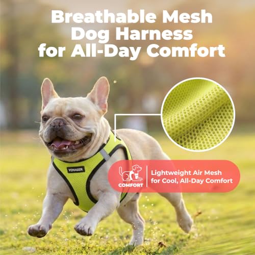 Image of Voyager Step-in Air Dog Vest Harness - Lime Green /Black Trim, Medium
