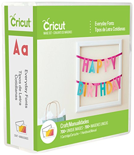 Cricut 2002372 Everyday Font Cartridge for Craft