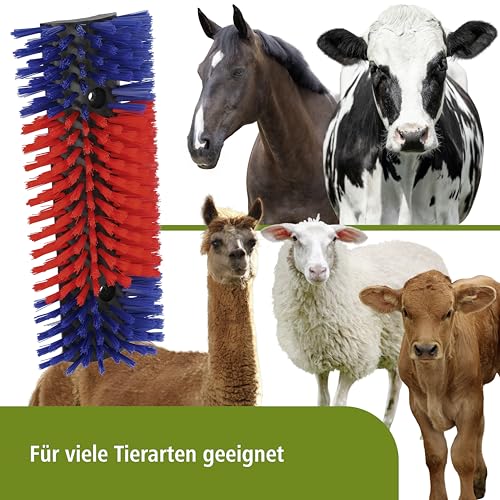 Kuhbürste Kerbl 293100 Halbrunde Kratzbürste für Tiere im Stall