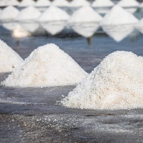 The world&rsquo;s freshwater is getting saltier. Why?