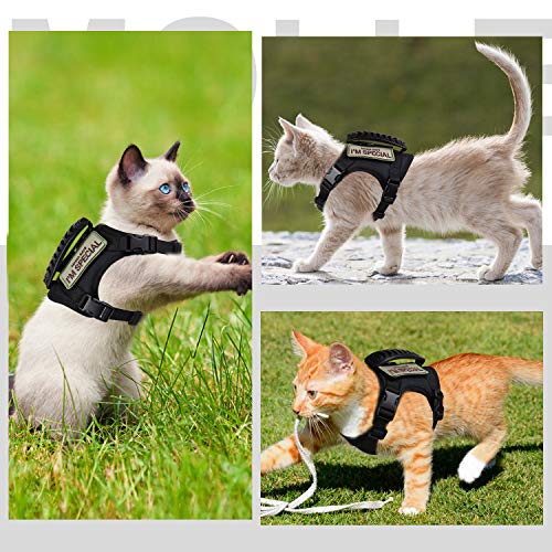 tactical cat harness