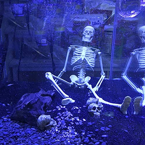 Modèle De Crâne De Dinosaure En Résine | Squelette D'Animal Simulé