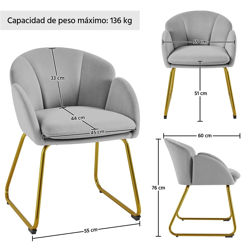 Yaheetech Silla de Comedor Moderno Tapizada Terciopelo con Apoyabrazos y Respaldo Ergonómico Gris