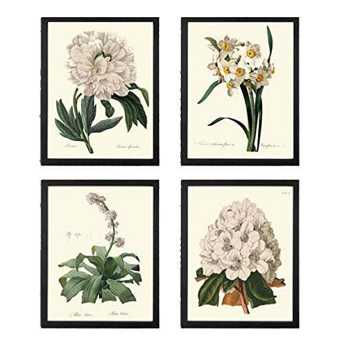 Botanical Print Set of 4 Antique Beautiful Redoute White Flowers Peony Narcissus Rhododendron Garden Nature Plants Home Room Decor Wall Art Unframed