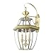 Livex Lighting 2351-01 Outdoor Wall Lantern with Clear Beveled Glass Shades, Antique Brass