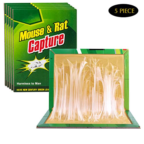 Siyu Kitchen Mouse Trap, Rat Trap, Mouse Traps for Mice Rat, Rat Catcher