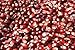 Hoosier Hill Farm Gourmet Popcorn, Ruby Red, 3 Pound