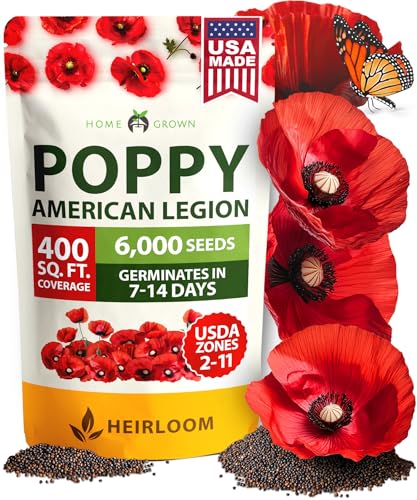 HOME GROWN American Legion Red Poppy Seeds - 6,000 Vibrant Wildflower Seeds for Planting Outdoors - Annual Poppy Flowers - Memorial Garden & Pollinator Friendly (Papaver rhoeas)