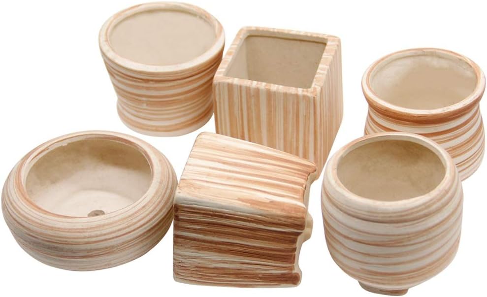 winemana 6 Pcs Set 3 Inch Ceramic Succulent Plant Pot, Wooden Pattern Succulent Planter Container Bonsai Cactus Pots