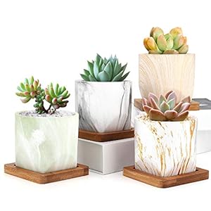Luxspire 2.8 Inch Small Succulent Pots Set of 4, Mini Ceramic Porcelain Succulent Cactus Plant Pot Planter Container…
