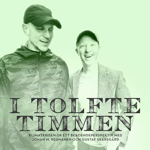 『I tolfte timmen』のカバーアート