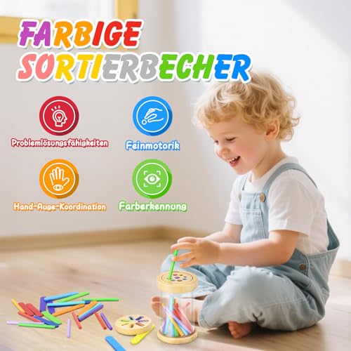 Aolieh Montessori Spielzeug ab 1 Jahr, 2-in-1 Montessori Spielzeug ab 1 2 3 Jahre Mädchen Jungen Baby Spielzeug Geschenk Farbe Sortierspiel Kinderspielzeug Motorikspielzeug Holzspielzeug ab 1 Jahr