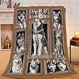 Siberian Husky Throw Blanket Funny Huskey Dogs Flannel Blankets Huskies Fuzzy Plush Super Soft Cozy Warm Decor Gifts for Boys Girls Kids Adults Men Women 40" x 50"