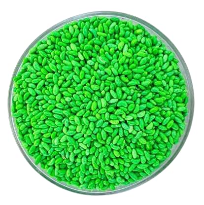 M VEGONEE Green Sugar Coated SAUNF Colourful Fennel Seed - Mouth FRESHNER (200 Gram) (B0B857FS2M) Amazon Price History, Amazon Price Tracker