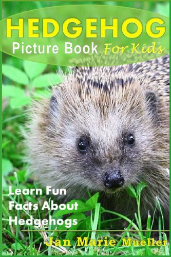 Hedgehog: A Picture Book For Kids To Learn Fun Facts About Hedgehogs (NatureÂ´s Amazing! Series 2)