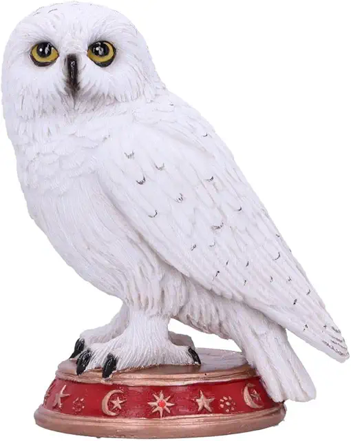 Witte Uilenbeeldje: Nemesis Now Tovenaars Uil Figurine 10 cm