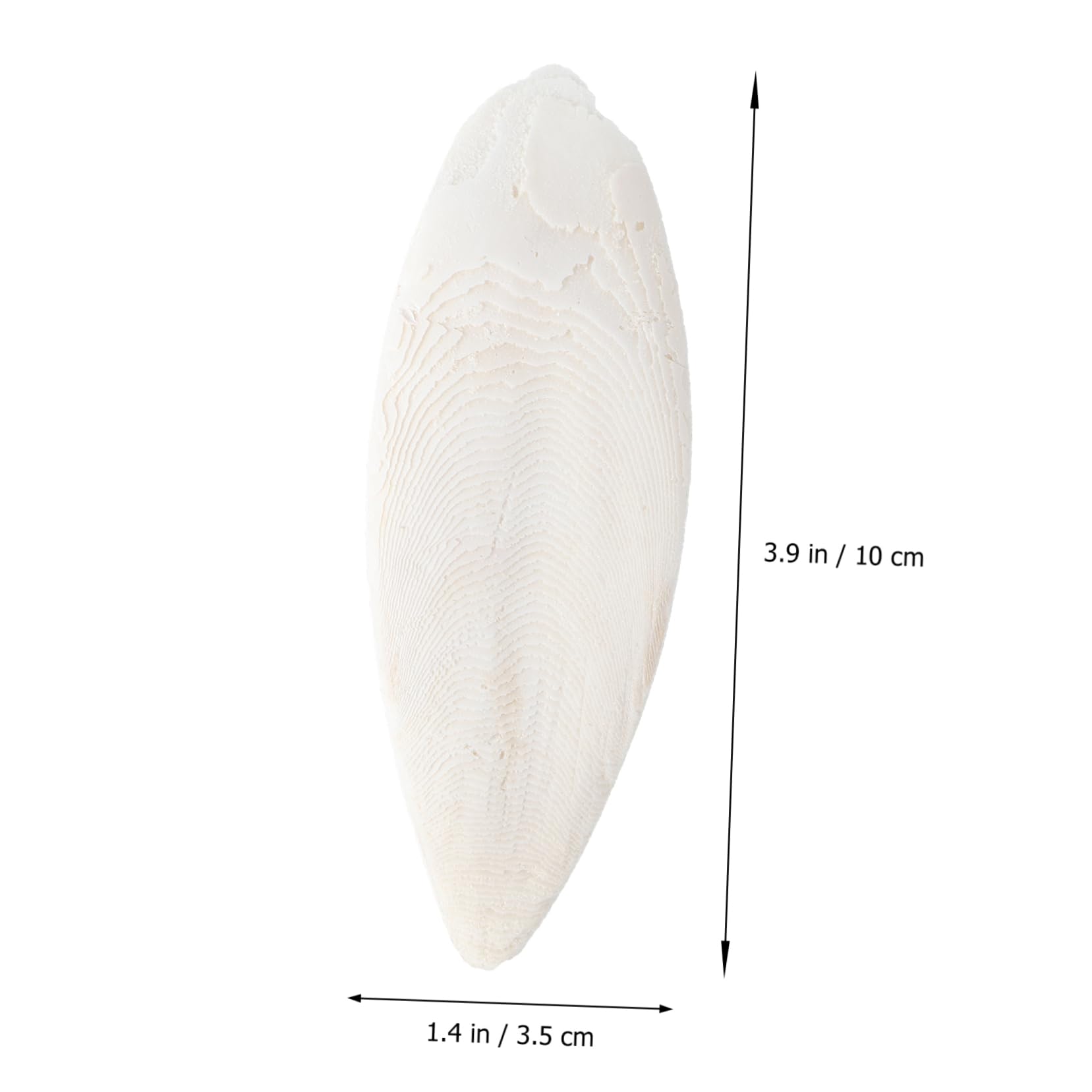 POPETPOP 24stücke Cuttlebone Kauspielzeug Für Haustiere Zahnpflege Und Training Für Hunde Katzen Papageien Und Andere Kleintiere Sicheres Und Natürliches Material