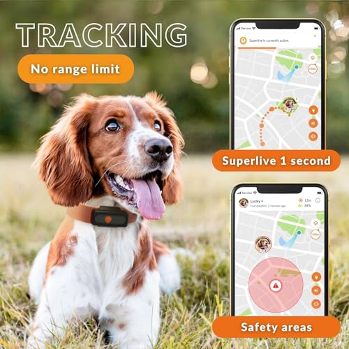 Weenect Dog XS - NEW GPS Tracker for Dogs, Black, Tracker XS - Image 4