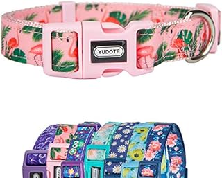 YUDOTE Neoprene Padded Printed Nylon Dog Collars Spring Summer Seasonal Themed for Medium Dogs Everyday Use,Adjustable 31-49cm,Purple Maple Leaf
