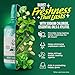 GuruNanda Fresh Breath Mouthwash, ADA-Accepted, Alcohol & Fluoride-Free, Sodium Chlorite, Essential Oils & Vitamins, 12-Hrs Fresh Breath, Wild Mint, 3 oz