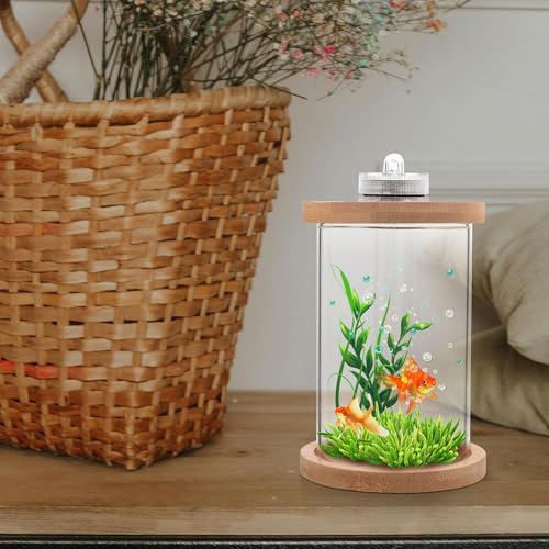 Aquarium poisson Betta compact en verre : la solution déco petit espace