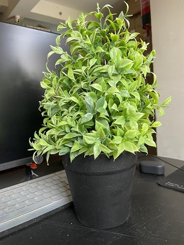 Image of Artificial Realistic Green Leaves Bonsai Potted Plant for Home Office Kitchen Living Room Hotel Restorent Table Corner Center Piece | Natural Look | Show Piece | 36 cm