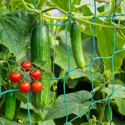 Ranknetz mit großer Maschenweite 2m x 2 5m Rankhilfe für Gurken Tomaten Kletterpflanzen-Netz für ertragreiche Ernte im Garten Gewächshaus & Balkon
