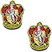 Harry Potter House of Gryffindor Hogwarts Crest a todo color sujetador gancho y bucle respaldo emblema bordado parches conjunto apliques insignia para abrigo chaqueta mochila sombrero gorra