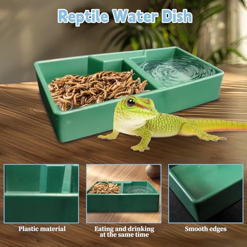 Image of PINVNBY Reptile Feeding Box 6 PCS Snake Breeding Box Lizard Cricket Cage Habitat Hatching Container Transparent Portable Critter Keeper for Spider Scorpion Gecko Tortoise Treefrog (2 Large 4 Small)