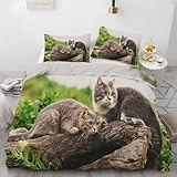 Cuál es la sábana blanca que se corta sin tijeras: Descubre las mejores opciones Funda Nordica Cama 90 Gato De Pelo Corto Tronco 3 Piezas Funda Nórdica Conjunto Reversible Conjunto con Cierre de Cremallera 150 x 200 cm + 2 Funda de Almohada 50 x 75 cm Adecuado para Niños y Niñas