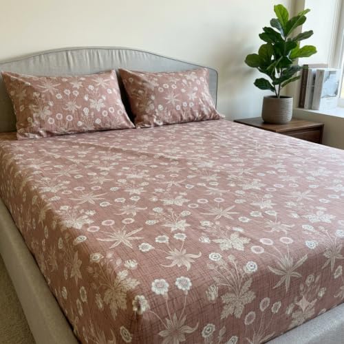Image of Linen Home Cotton Percale Fitted Bedsheet Set Double Size Light Brown